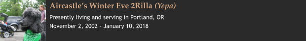 Aircastle’s Winter Eve 2Rilla (Yepa) Presently living and serving in Portland, OR November 2, 2002 - January 10, 2018