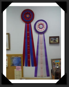 Aircastle's highest ribbon, "Best of the Best"