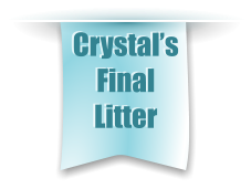 Crystal’s Final Litter